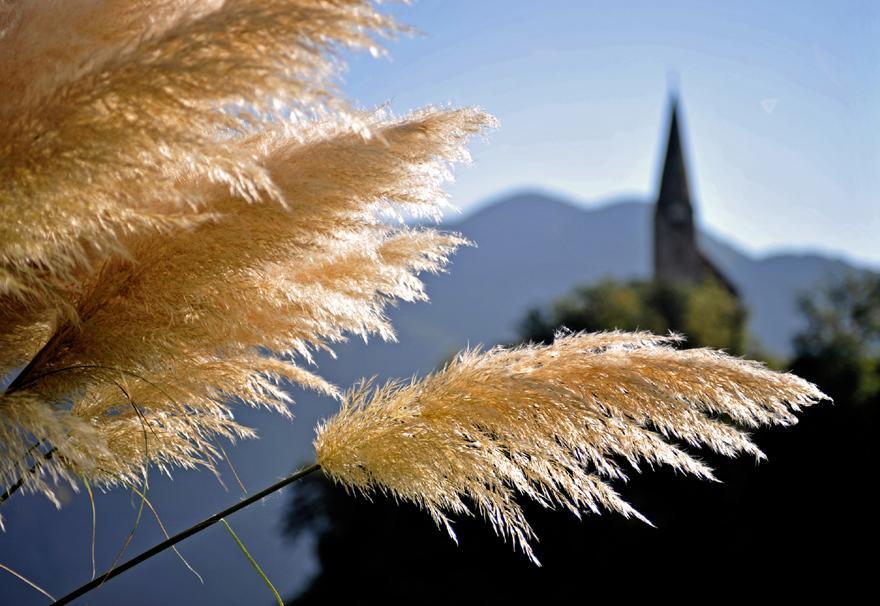 Villa Tollhof Bozen Exterior foto